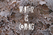 Recolter, a Font by vuuuds (Thumbnail 4 of 5)