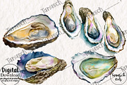 Watercolor oysters clipart, a Food Illustration by TanuschArts (Thumbnail 3 of 5)