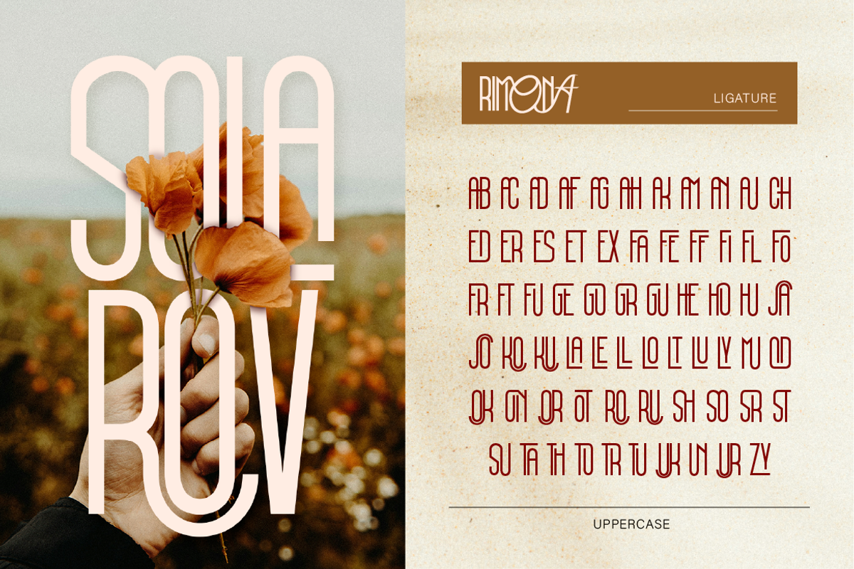 Rimona, a Symbol Font by Burntilldead (Photo 5 of 13)