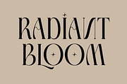 Giftagi Elegant Modern Serif, a Serif Font by timelesstype.co (Thumbnail 8 of 20)