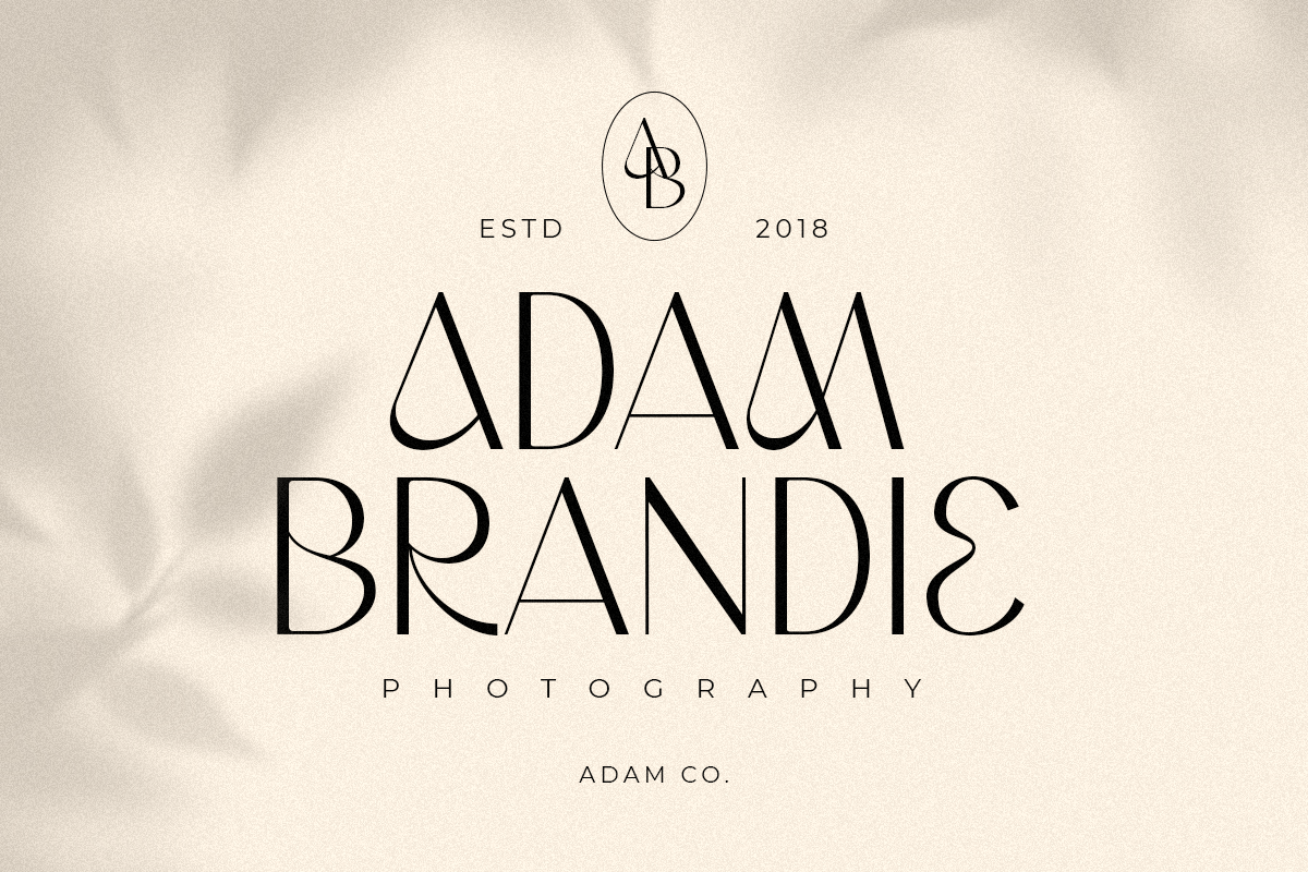 Wordmark - Display Logo Font, a Sans Serif Font by Hamz Studio (Photo 4 of 15)