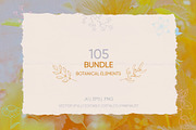 Bundle 105 Vector Botanical Elements, an Illustration by Mariia Kovalchuk (Thumbnail 1 of 6)