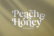 Basher Rivelga, a Serif Font by studiobasic (Thumbnail 4 of 11)