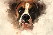 Artist Photoshop Action preview 3