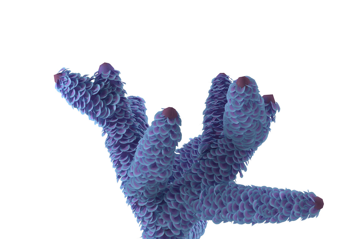 Seaweed, an Environmental 3D Model by AndrewWhite (Photo 4 of 9)