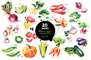 20 Watercolor Vegetables Vector, a Food Illustration by Elena Pimonova (Thumbnail 1 of 5)