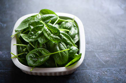 Fresh spinach leaves in a bowl, a Food & Drink Photo by WildStrawberry Magic