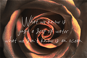 Ramansa Signature Font, a Handwritten Font by Cut Story (Thumbnail 5 of 7)