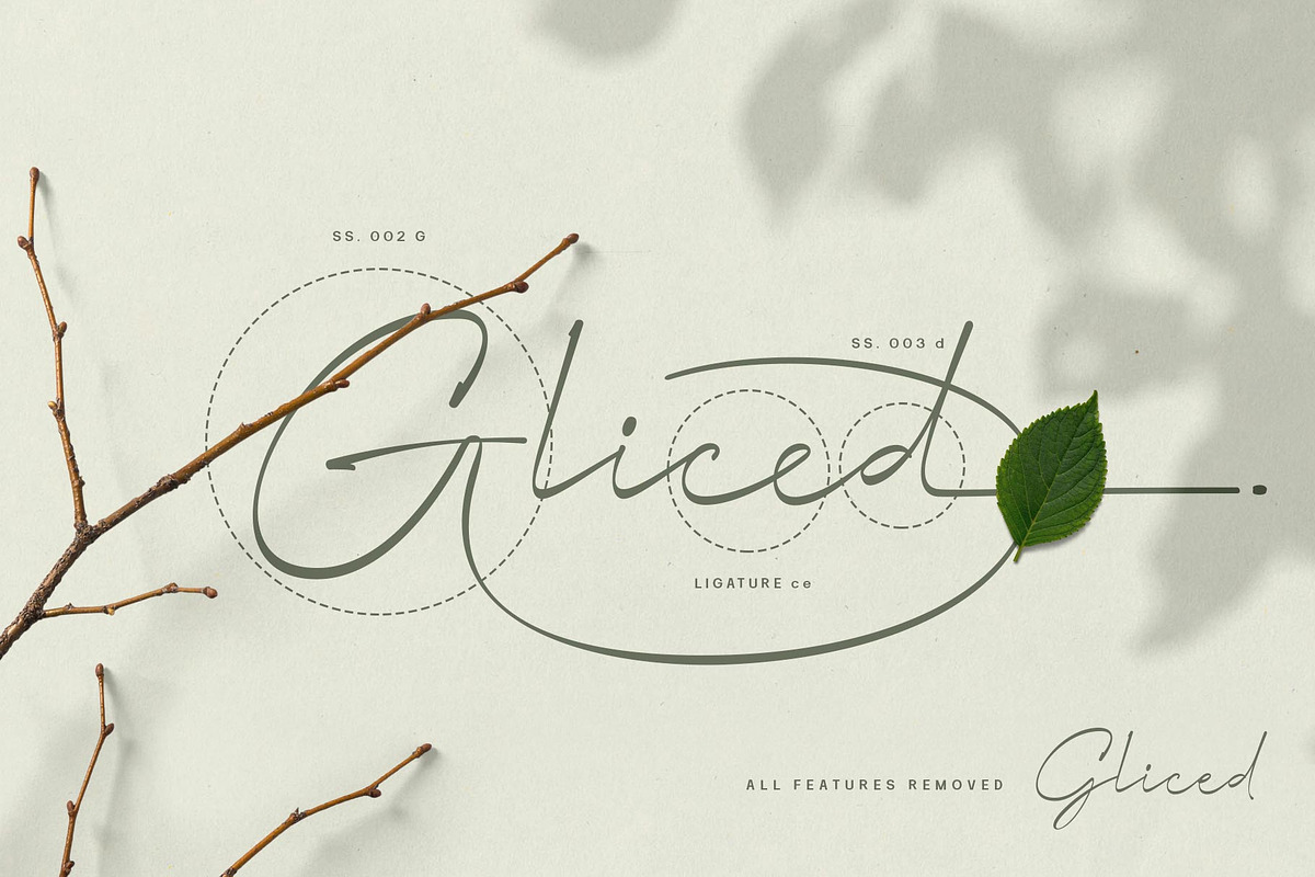 Milyah Signature Script font, a Script Font by alit design (Photo 2 of 15)