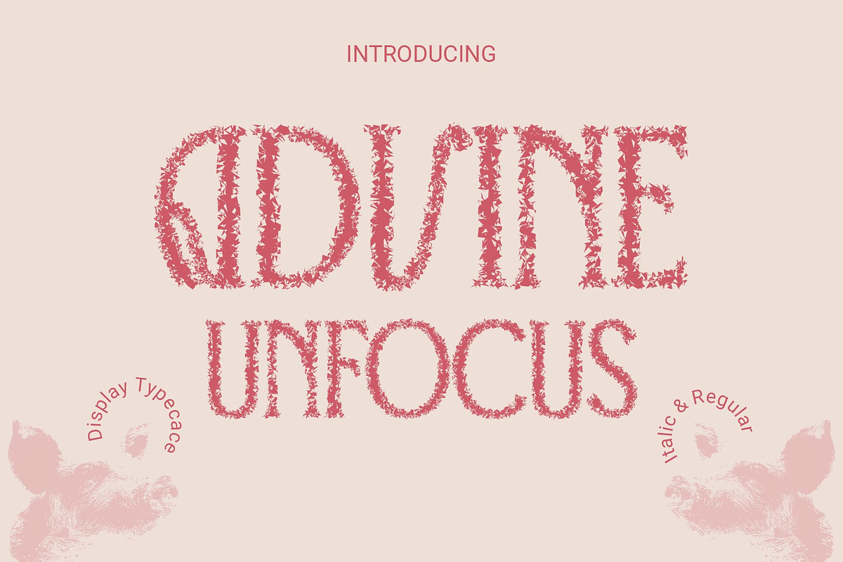 Advine Unfocus, a Serif Font by Craft Supply Co. (Photo 1 of 8)