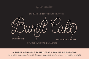 Bundt Cake Script Font