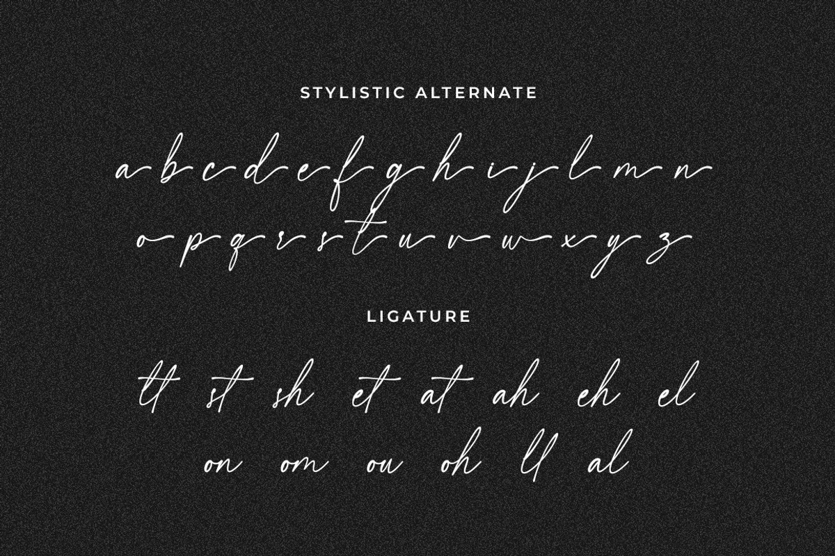 Javarosa Script Font, a Script Font by nizarbagasm (Photo 6 of 8)
