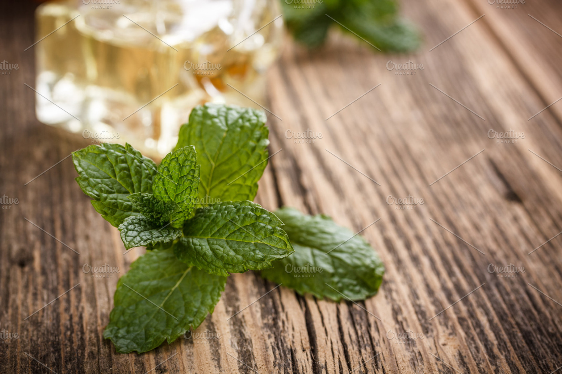 Fresh mint leaves containing mint, leaf, and peppermint