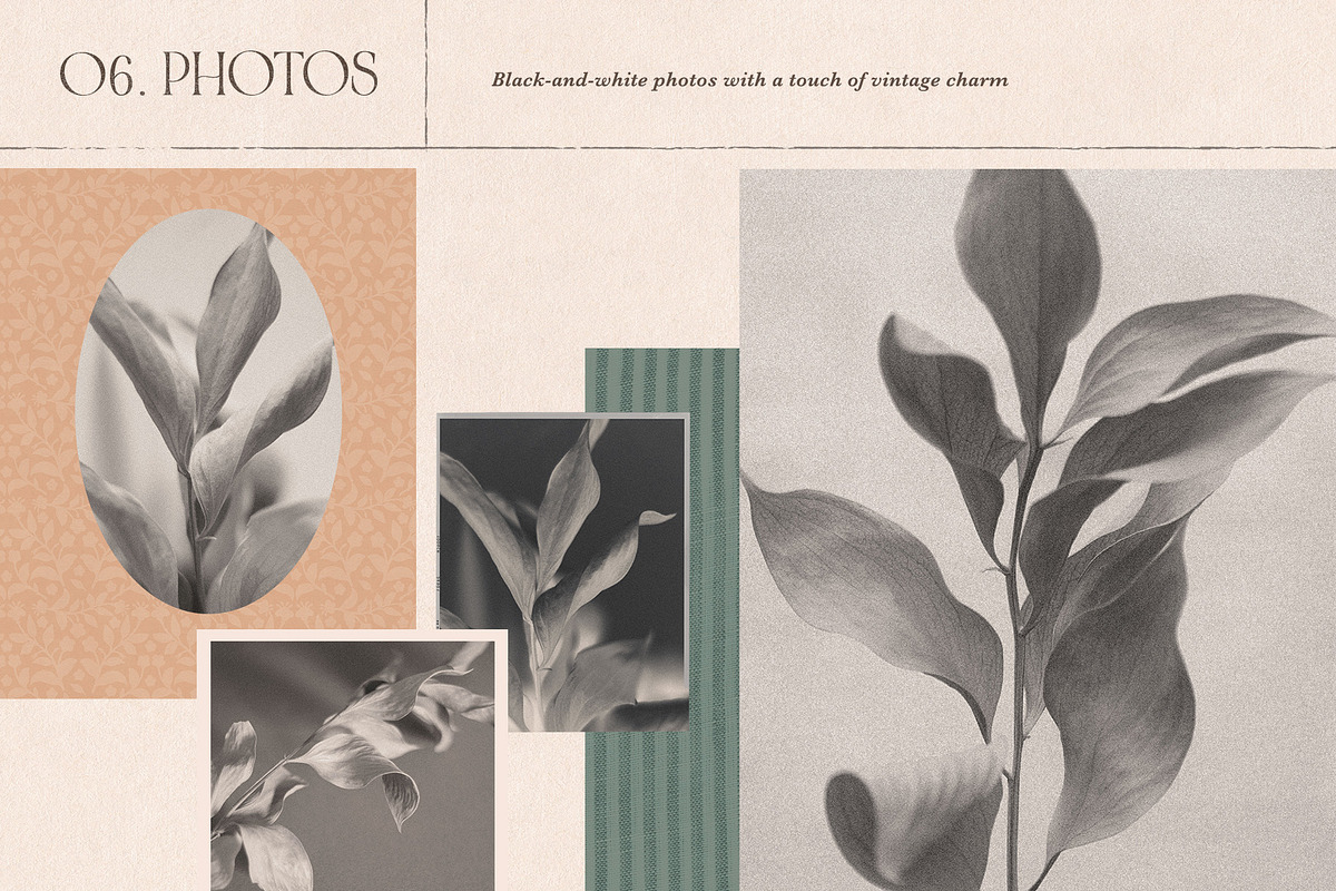 Paper Note—Nostalgic Design Toolkit, an Object Graphic by Basia Stryjecka (Photo 36 of 39)