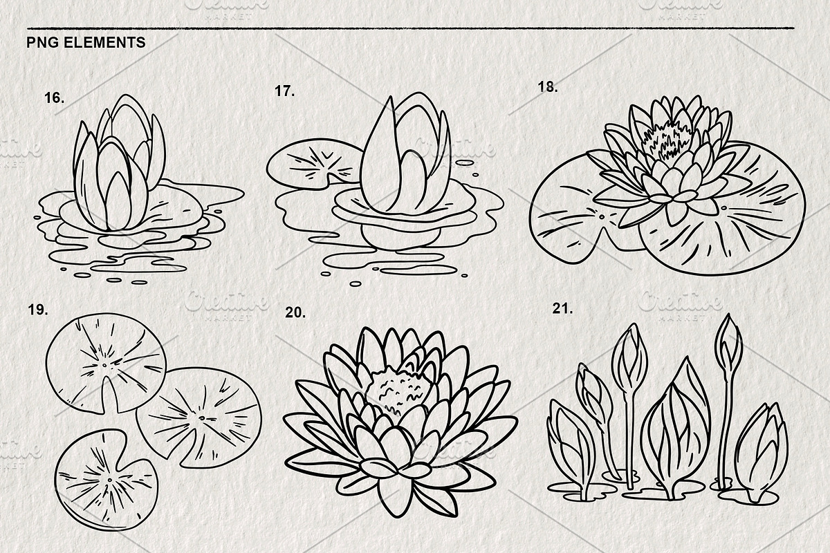 Set of water lilies and flowers PNG, a Decorative Illustration by LOKSKIH (Photo 6 of 10)