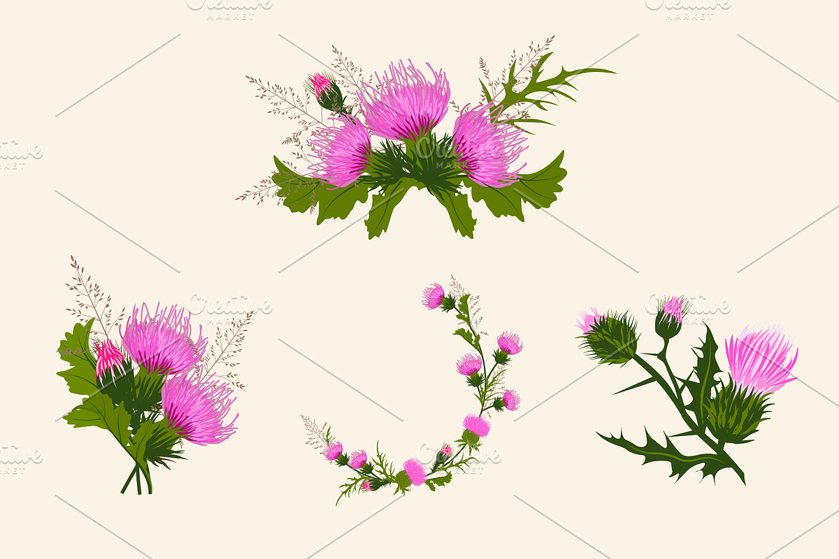 Thistle - meadow flower, an Illustration by MariiaVasilenko (Photo 3 of 6)