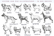 Dog breeds vintage hand drawn vector, an Illustration by Aquatinta (Thumbnail 1 of 8)