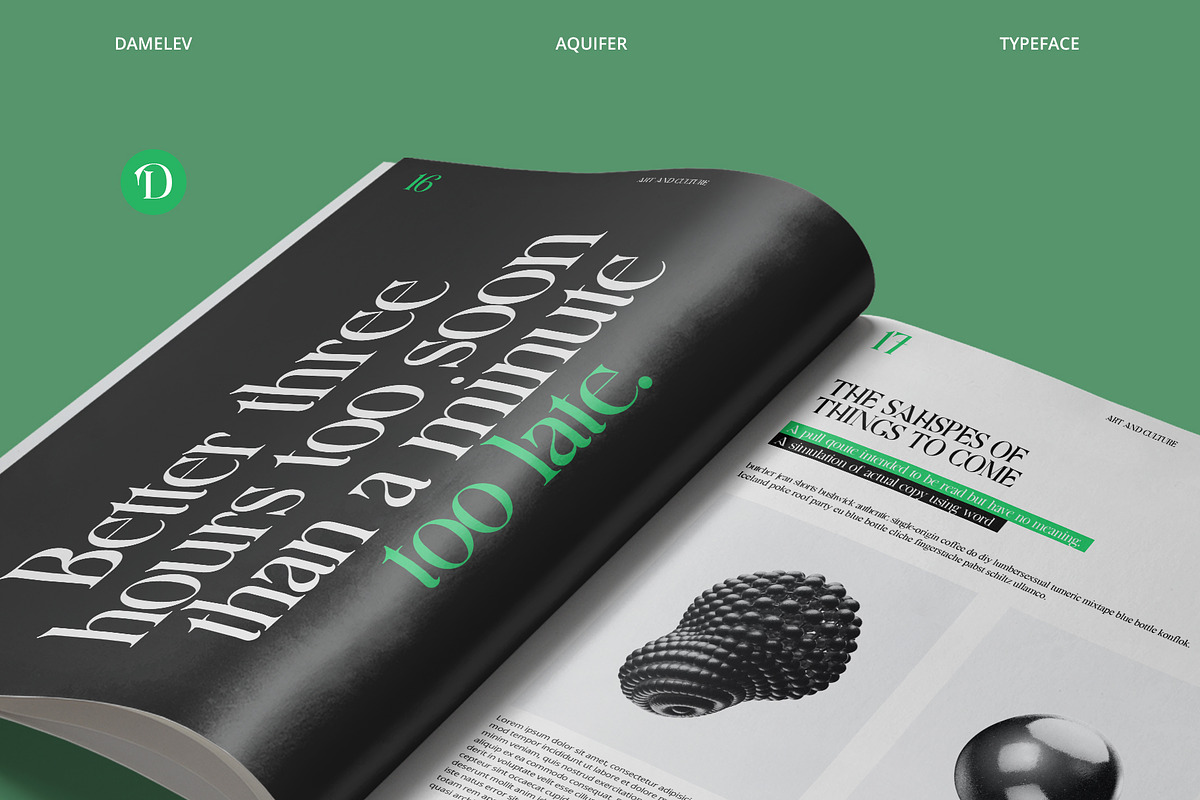 Aquifer, a Serif Font by Damelev (Photo 5 of 15)