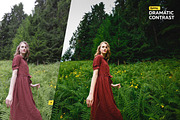 Professional Photoshop Actions, an Action Add-On by Willa (Thumbnail 5 of 12)