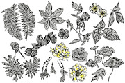 TROPIC set 2, a Decorative Illustration by Tanya Akhmett (Thumbnail 3 of 10)