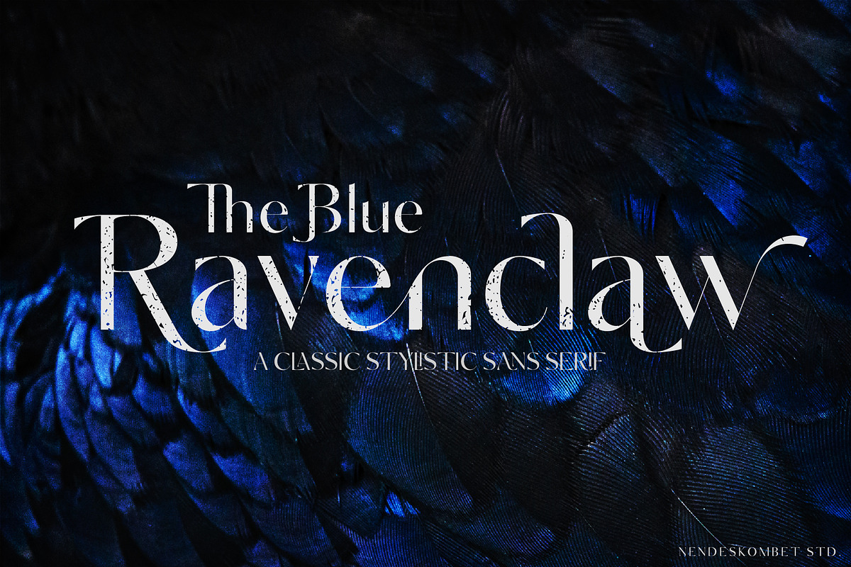 The Blue Ravenclaw - Stylistic Sans, a Sans Serif Font by NendesKombet Studio (Photo 1 of 16)