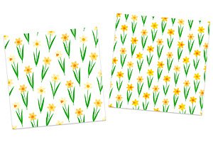 Daffodils Flowers Seamless Patterns