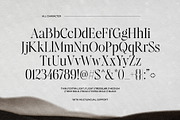 Augler - Editorial Serif Family, a Serif Font by Sarid Ezra (Thumbnail 9 of 9)