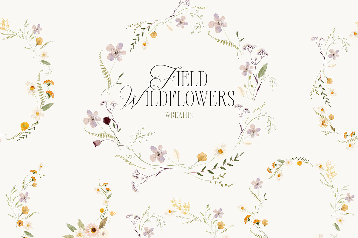 FIELD WILDFLOWERS watercolor, a Decorative Illustration by Lana Elanor (Photo 4 of 12)