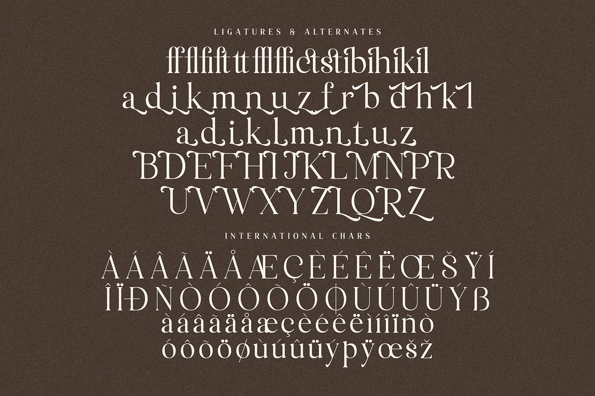 Macterla Stylishh Modern Serif Font, a Serif Font by Storytype Studio (Photo 14 of 14)