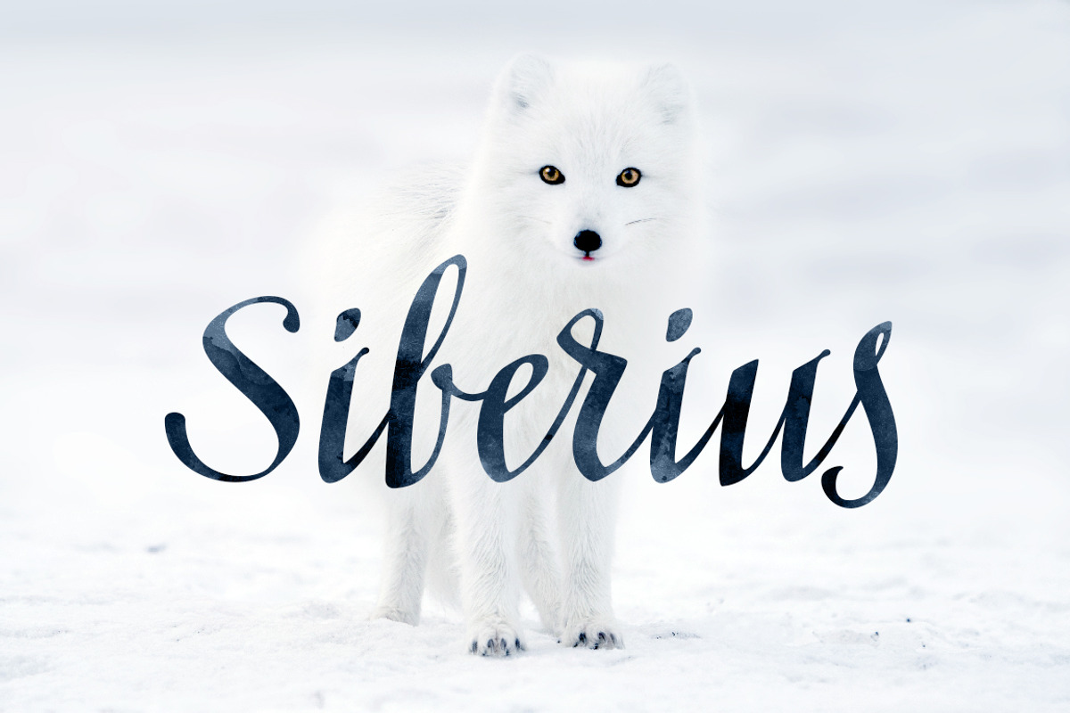 Siberius Clean Script Typeface