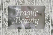 Soft Glow | Decorative Dots Font, a Handwritten Font by AnMark (Thumbnail 2 of 11)