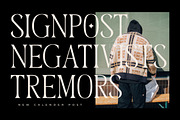 Megunso - Modern Serif Font, a Serif Font by AmorfaType (Thumbnail 3 of 10)