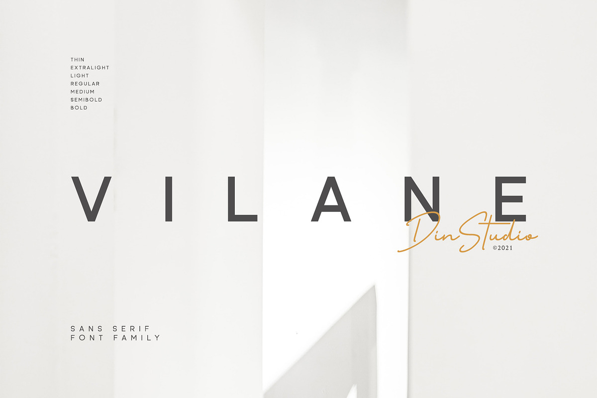 Vilane, a Script Font by din-studio.com (Photo 1 of 11)
