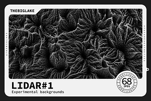 LIDAR #1 experimental backgrounds
