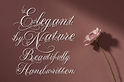FLORAL DECORATIVE FONT COLLECTION, a Script Font by HypeWorksCo (Thumbnail 12 of 18)