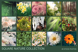 Nature bundle