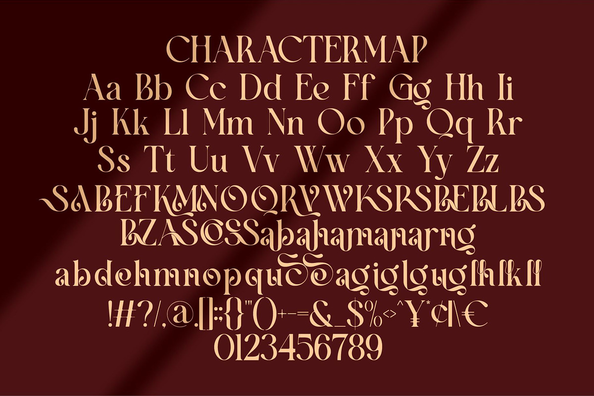 Blasse || Elegant Classy Serif Font, a Serif Font by Ermedia Studio (Photo 10 of 10)