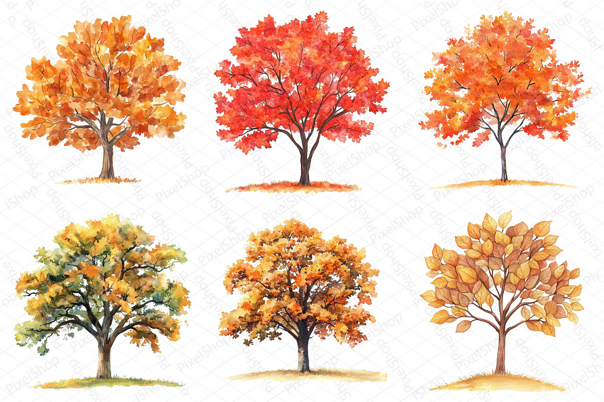 Watercolor Fall Autumn Tree Clipart, an Illustration by DreamPrint404 (Photo 5 of 6)