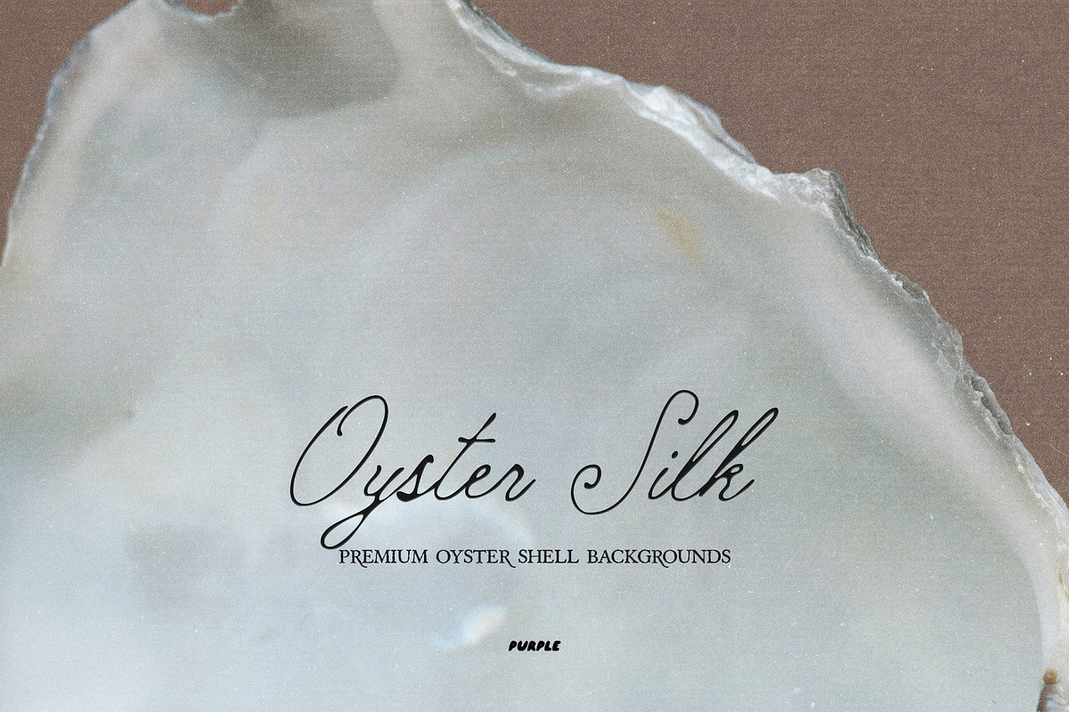 Oyster Silk | Shell Textures, a Background Graphic by Purple (Photo 8 of 8)