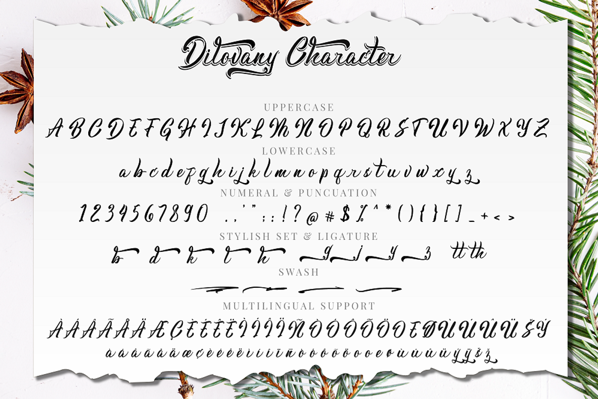Dilovany a Modern Calligraphy Font, a Script Font by Javatype Studio (Photo 9 of 10)