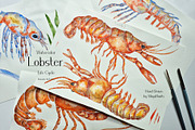Watercolor Lobster Life Cycle, an Education Illustration by MayaNavits (Thumbnail 6 of 7)