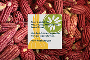 Market Day: 90 Food Illustrations, an Object Graphic by Sveta Pyatigorskaya (Thumbnail 5 of 12)