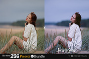 256 New Lightroom Preset Bundle, an Action Add-On by Presetrain Co. (Thumbnail 25 of 51)