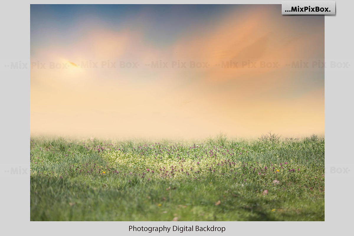 Summer Field Backdrops, a Background Graphic by MixPixBox