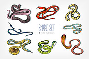 Snakes, hand drawn set, an Animal Illustration by Good Studio (Thumbnail 1 of 3)