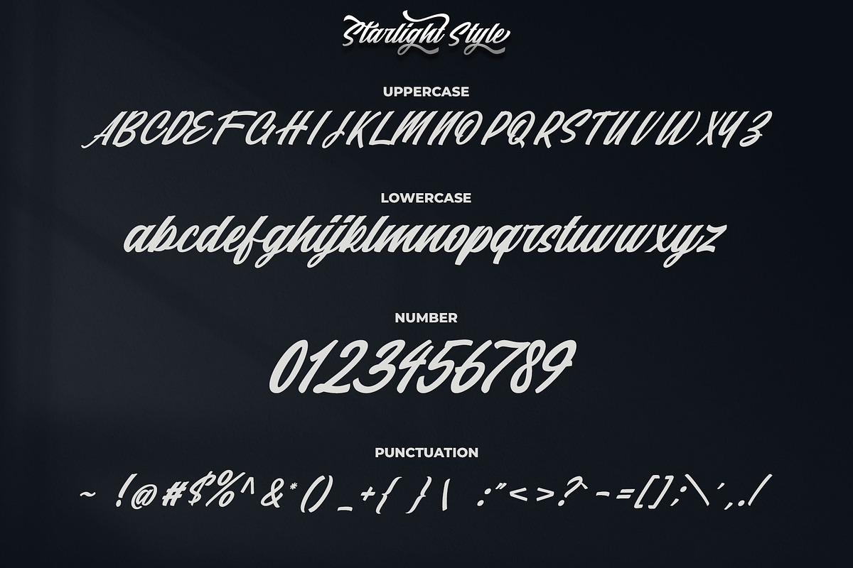 Starlight || Modern Script, a Script Font by Analogous (Photo 13 of 16)