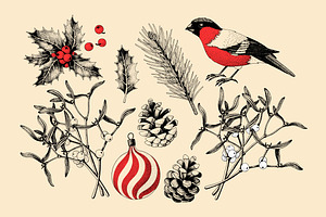 Cards With Bullfinch