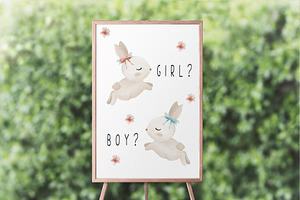 Baby Bunny Gender Reveal Clipart