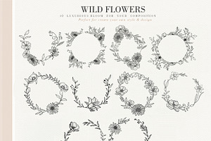 123 Floral Line Art Elegant Botanic