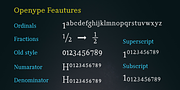 Manas, a Serif Font by Fontuma (Thumbnail 7 of 12)